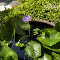 фото из отзыва ID 2672787