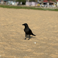 фото из отзыва ID 2672790