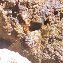 фото из отзыва ID 2672362