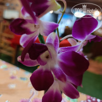 фото из отзыва ID 2672864