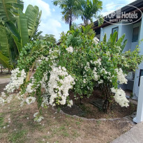 фото из отзыва ID 2672864