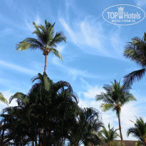 фото из отзыва ID 2672864