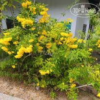 фото из отзыва ID 2672864