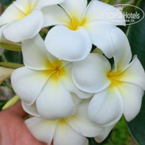 фото из отзыва ID 2672864