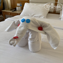 фото из отзыва ID 2672927