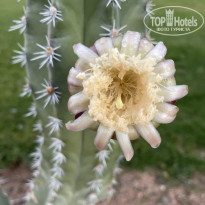 фото из отзыва ID 2672961
