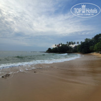 фото из отзыва ID 2673013