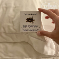 фото из отзыва ID 2673035