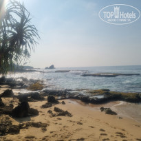 фото из отзыва ID 2673131