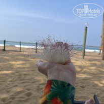 фото из отзыва ID 2673134