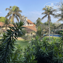 фото из отзыва ID 2673134