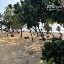 фото из отзыва ID 2673134