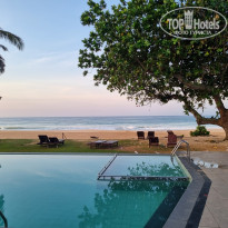 фото из отзыва ID 2673131