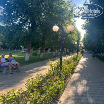 фото из отзыва ID 2673164