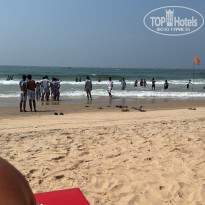 фото из отзыва ID 2673183