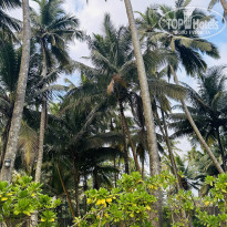 фото из отзыва ID 2673188