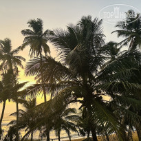 фото из отзыва ID 2673188