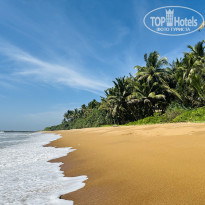 фото из отзыва ID 2673188