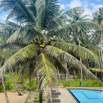 фото из отзыва ID 2673188