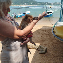 фото из отзыва ID 2673251