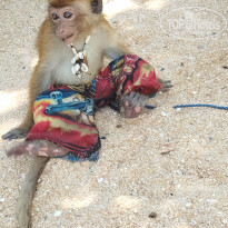 фото из отзыва ID 2673251