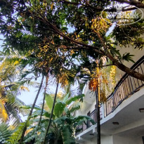 фото из отзыва ID 2673251