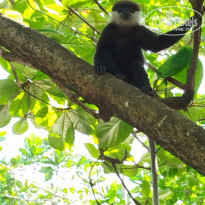 фото из отзыва ID 2673251