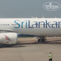 фото из отзыва ID 2673251