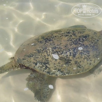 фото из отзыва ID 2673251