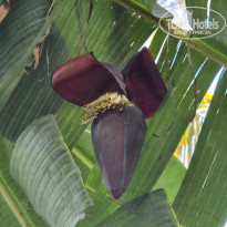фото из отзыва ID 2673214