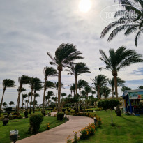 фото из отзыва ID 2673347