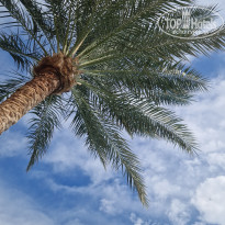 фото из отзыва ID 2673347