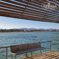 фото из отзыва ID 2673347