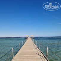 фото из отзыва ID 2673347