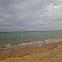 фото из отзыва ID 2673347