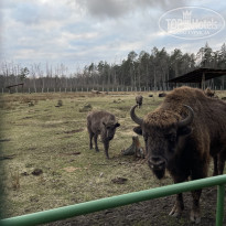 фото из отзыва ID 2673375