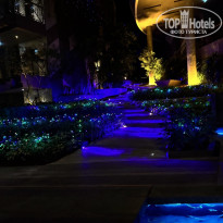 фото из отзыва ID 2673414