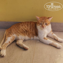 фото из отзыва ID 2673449