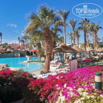 фото из отзыва ID 2673449