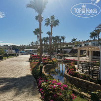 фото из отзыва ID 2673449