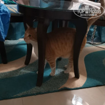 фото из отзыва ID 2673449