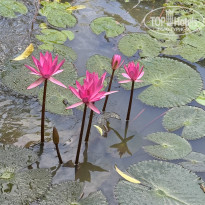 фото из отзыва ID 2673448