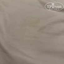 фото из отзыва ID 2673452