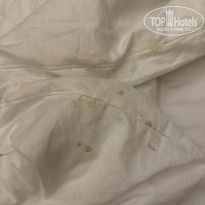 фото из отзыва ID 2673452