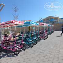 фото из отзыва ID 2672688