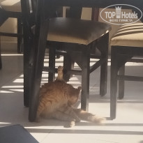 фото из отзыва ID 2673577