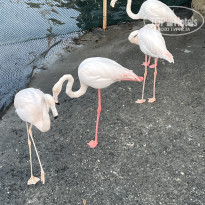 фото из отзыва ID 2673285