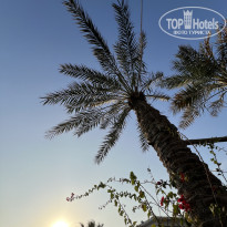 фото из отзыва ID 2673285