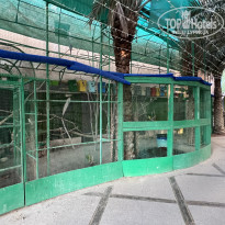 фото из отзыва ID 2673285