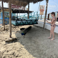 фото из отзыва ID 2673285